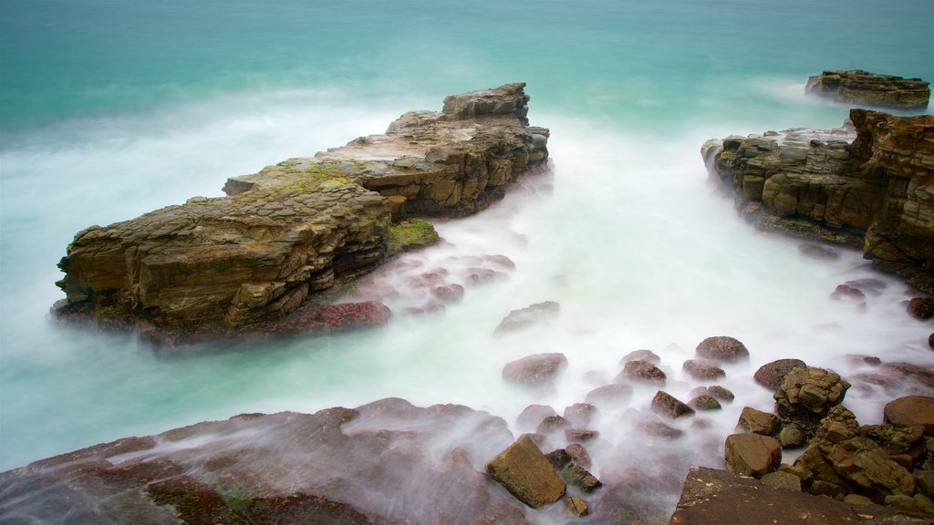 Yamba mostrando un río o arroyo