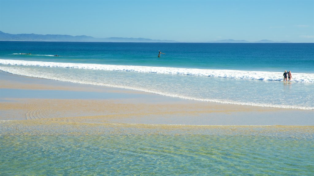 Northern Rivers showing a beach