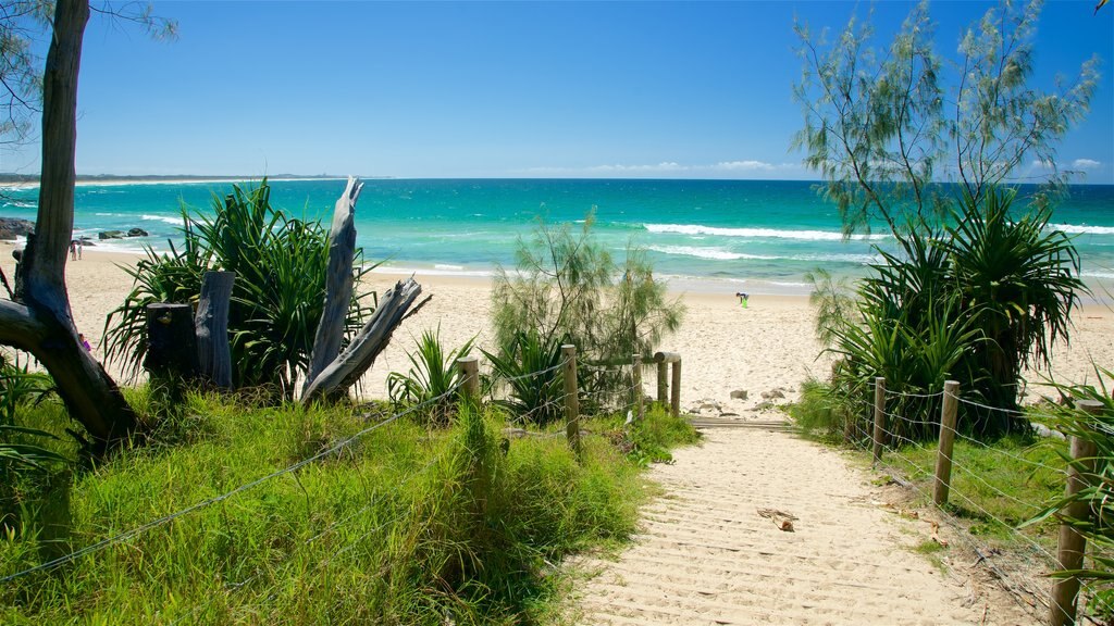 Tweed Heads featuring a beach