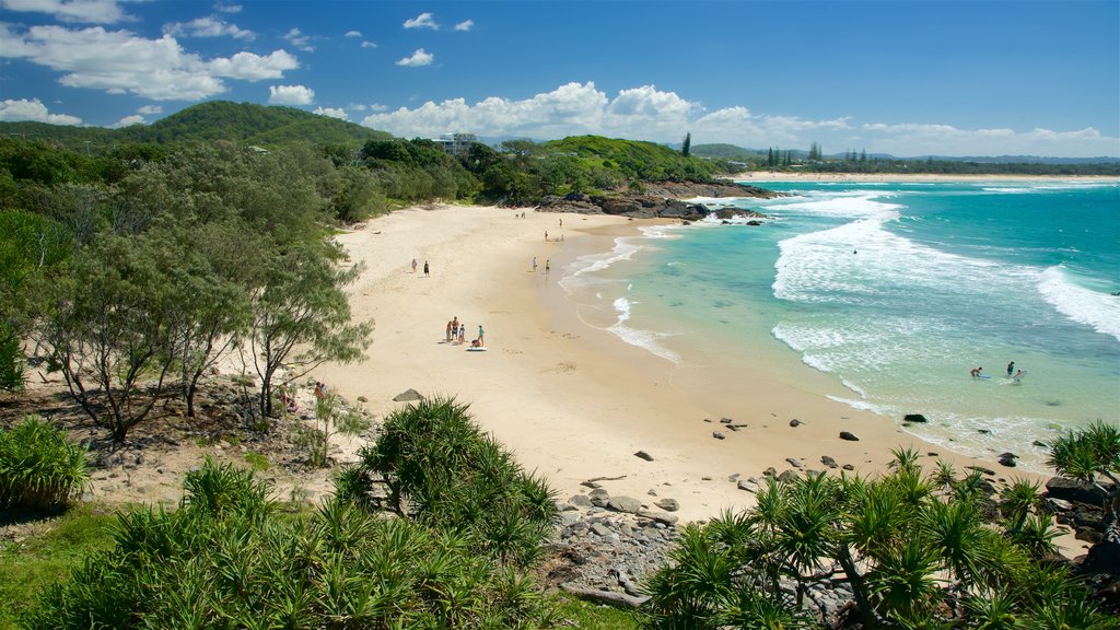 Tweed Heads which includes a sandy beach