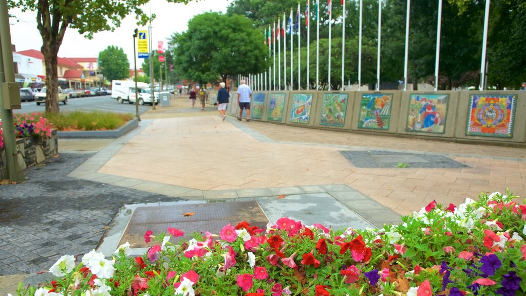 Cooma caracterizando cenas de rua