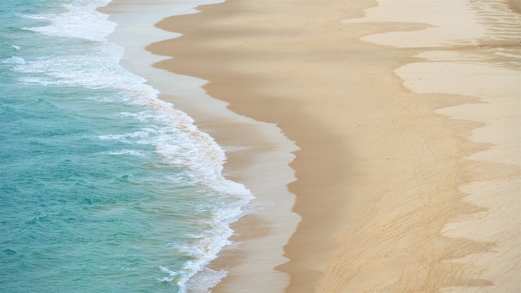 Tallow Beach showing a beach