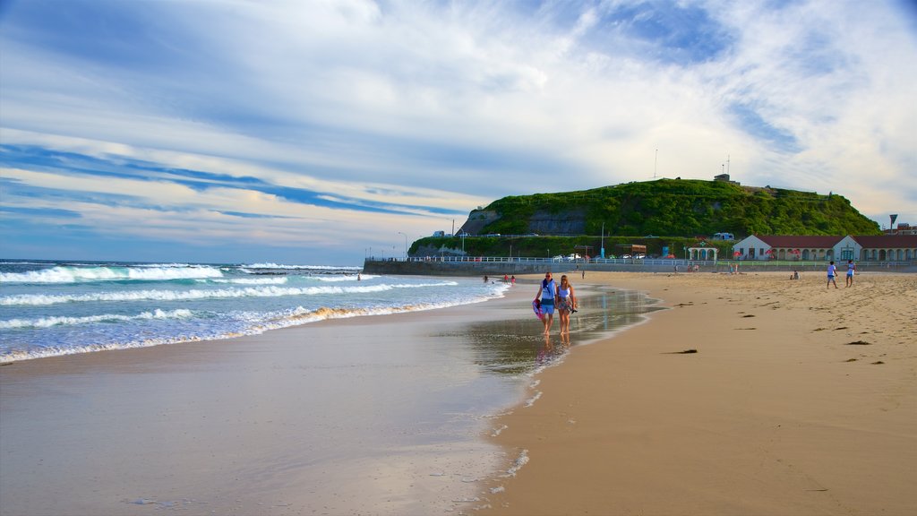 Newcastle showing a bay or harbour and a sandy beach as well as a small group of people