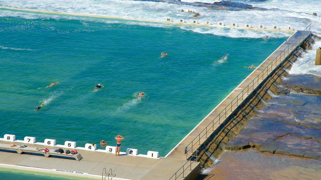 Newcastle showing general coastal views, swimming and a pool