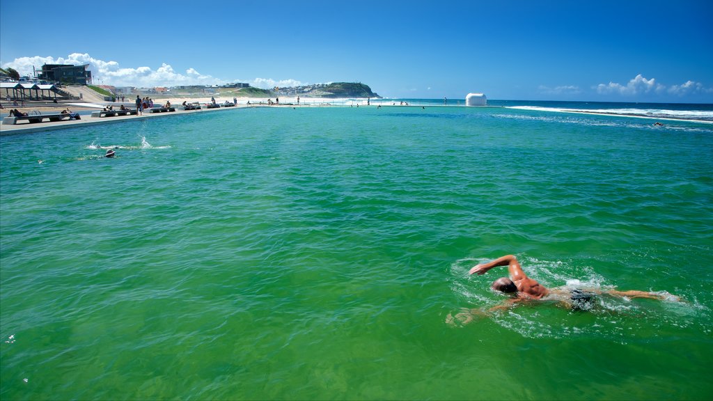 Newcastle mostrando paisagens litorâneas, natação e uma piscina