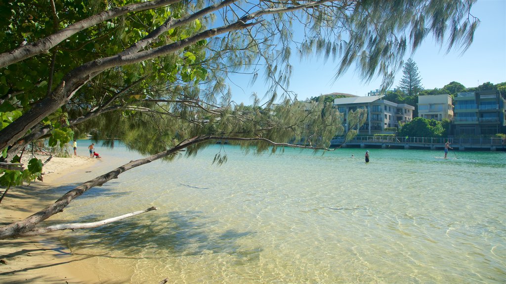 Kingscliff showing a river or creek