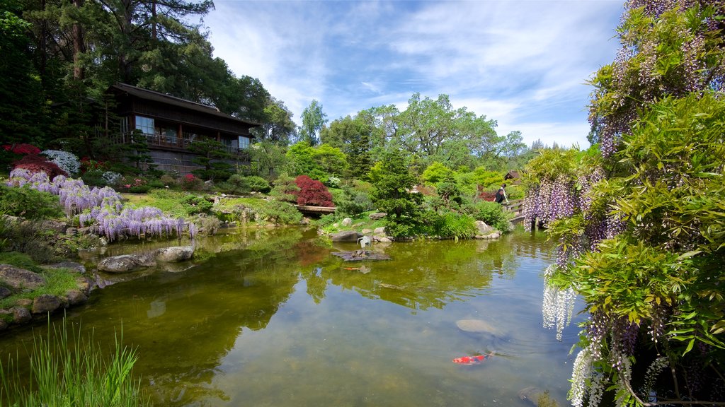 Hakone Gardens og byder på en have