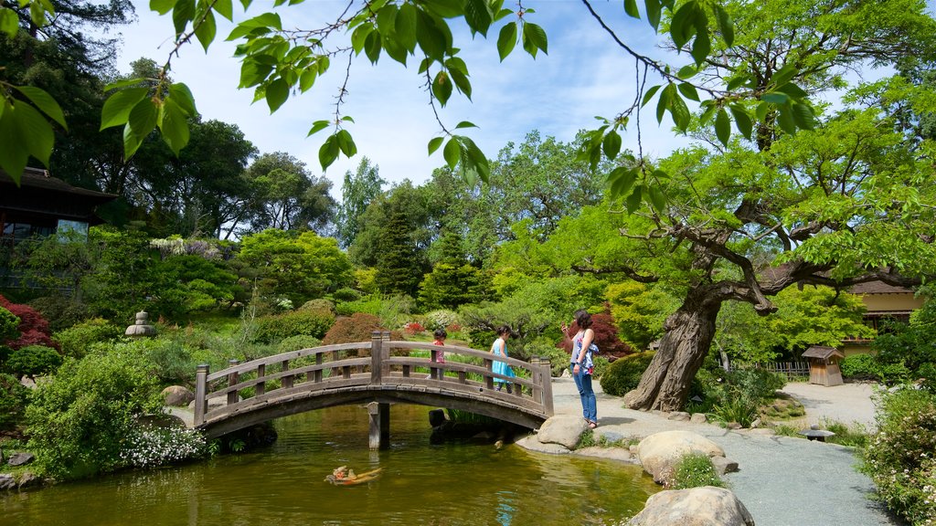 Hakone Gardens som omfatter en have