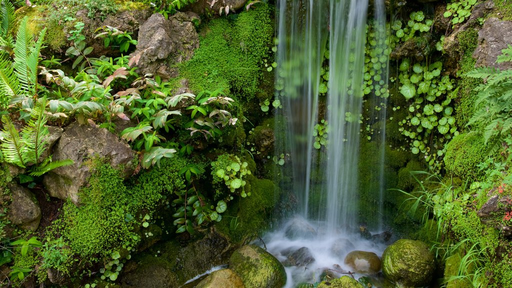 Hakone Gardens which includes a waterfall and a garden