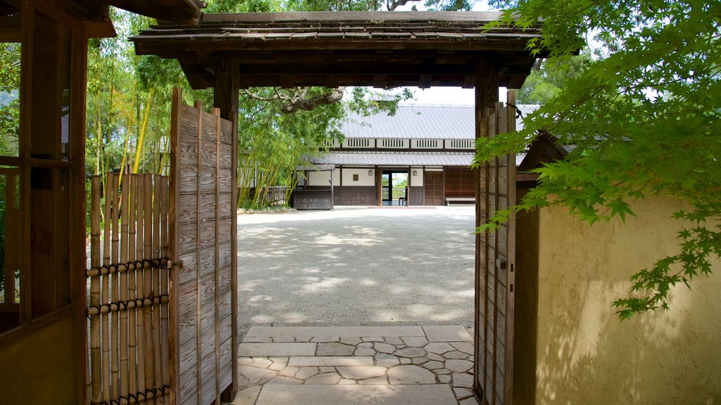 Hakone Gardens showing a park