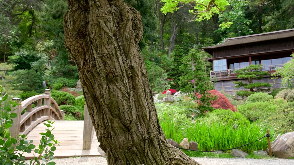 Hakone Gardens que inclui um jardim