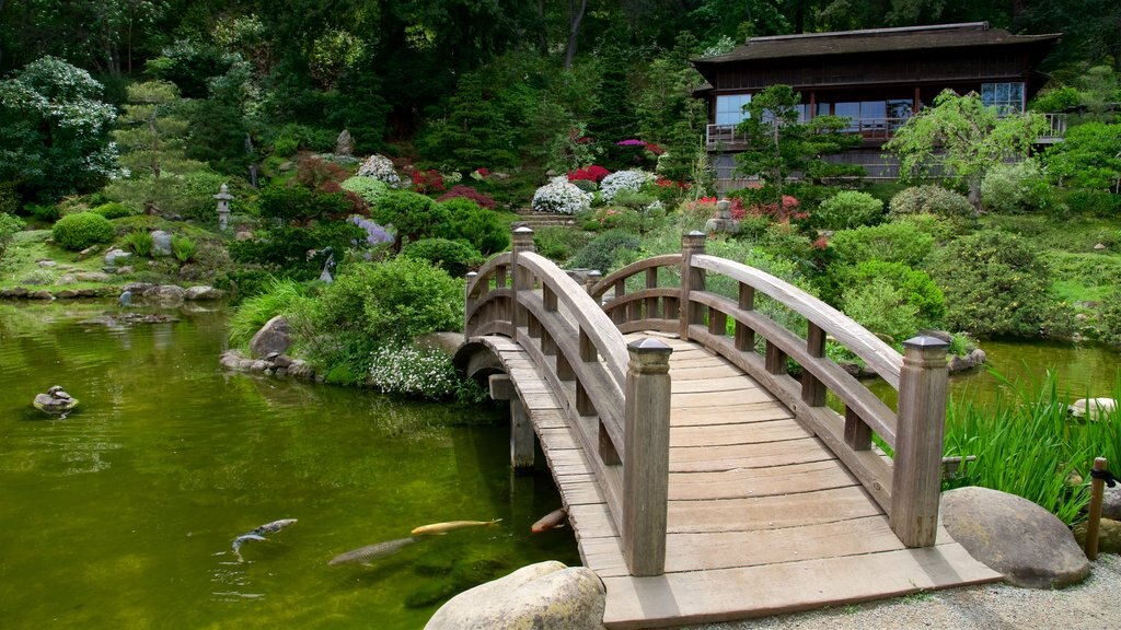 Hakone Gardens showing a park