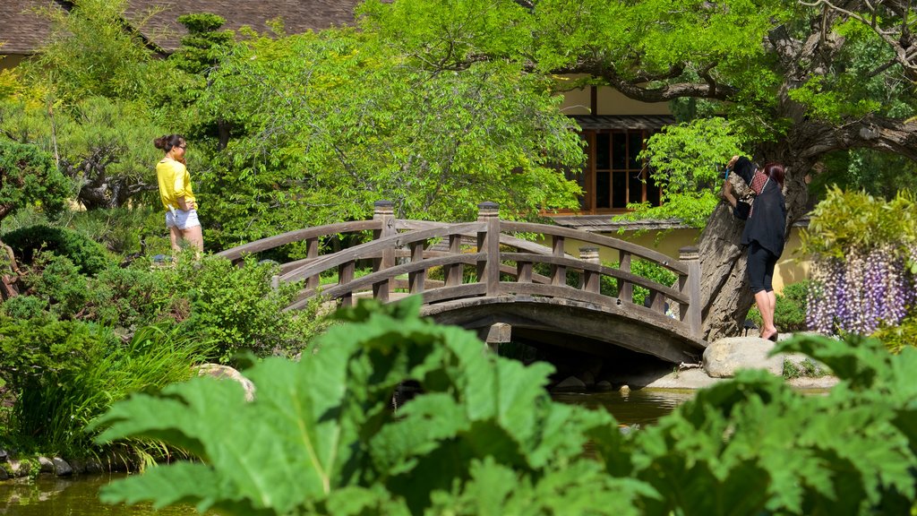 Hakone Gardens som viser en have