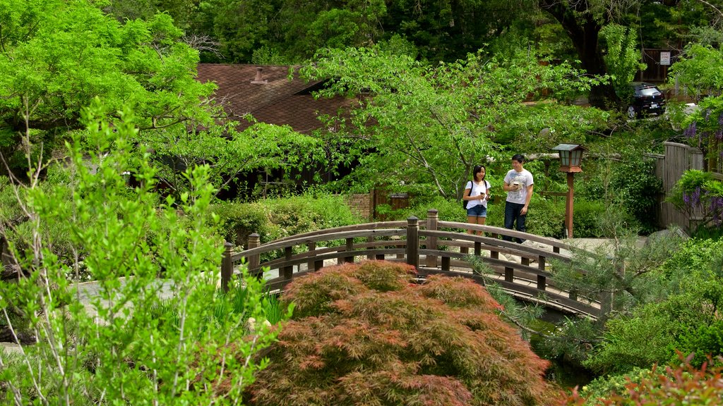 Jardines Hakone ofreciendo jardín y también una pareja