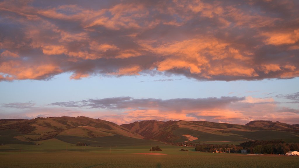 Walla Walla featuring a sunset