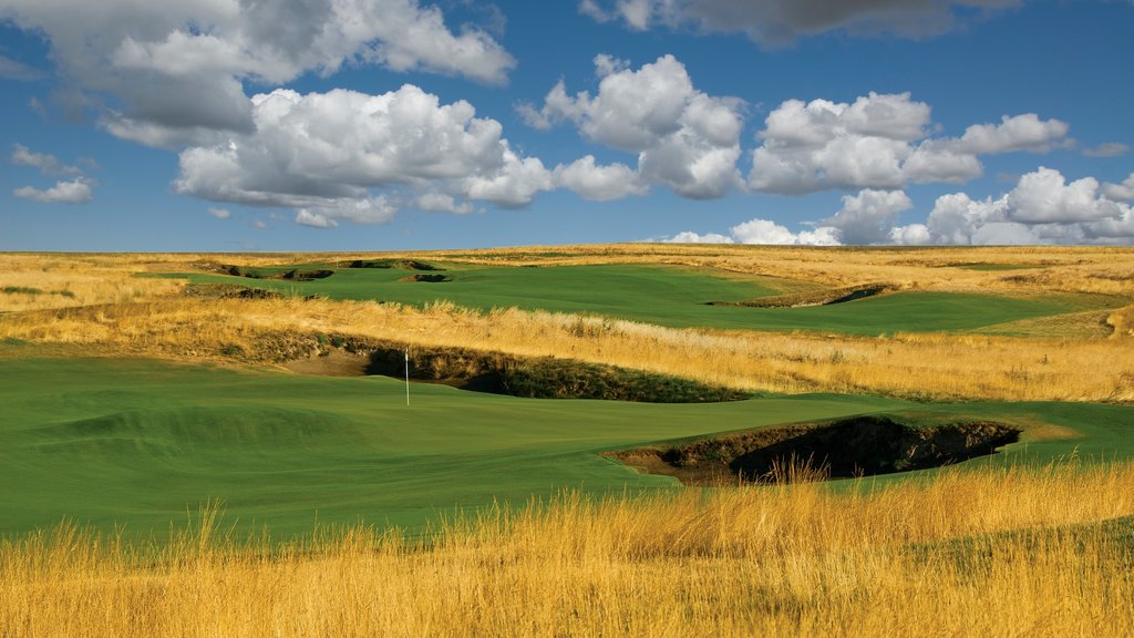 Walla Walla featuring farmland