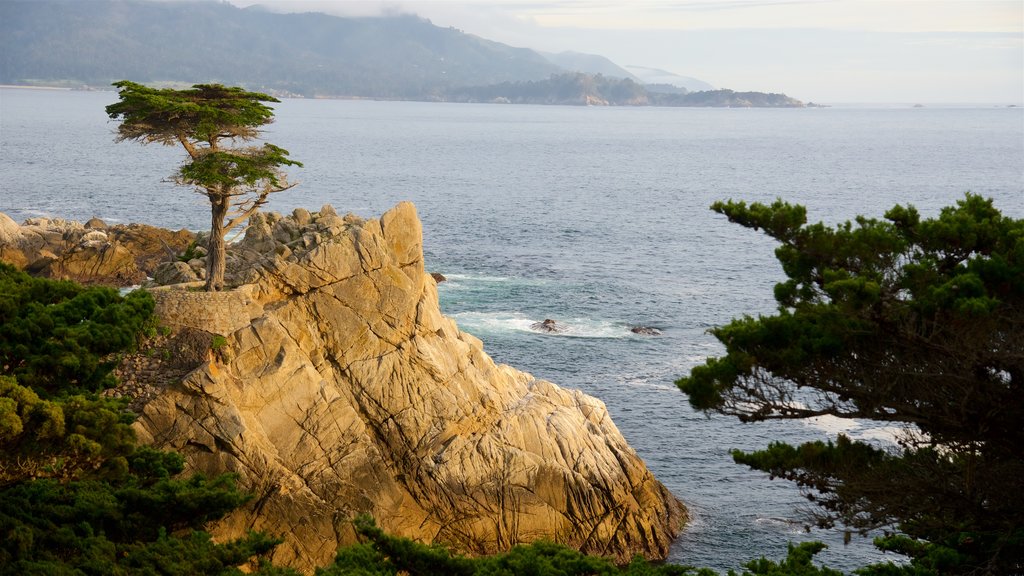 17-Mile Drive que inclui paisagens