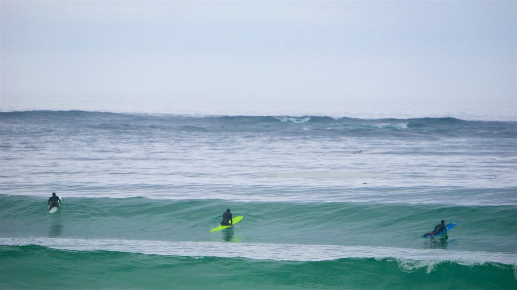 17-Mile Drive showing waves and surfing