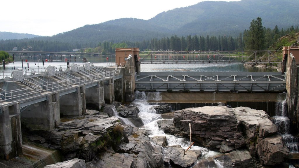 Post Falls featuring a cascade, forests and a bridge