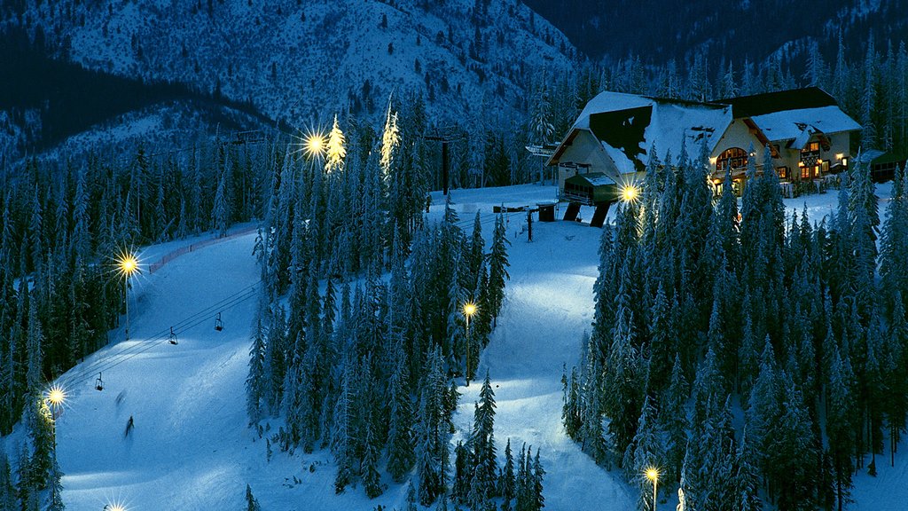 Kellogg ofreciendo escenas de noche, nieve y una góndola