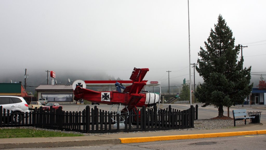 Kellogg featuring outdoor art and mist or fog