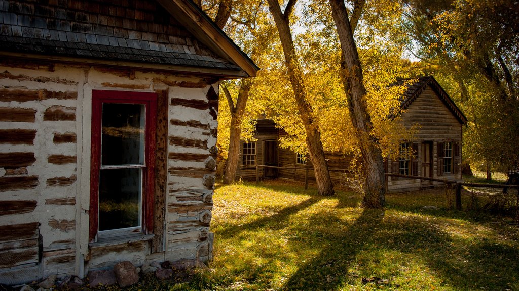 Dillon showing a house, autumn leaves and tranquil scenes