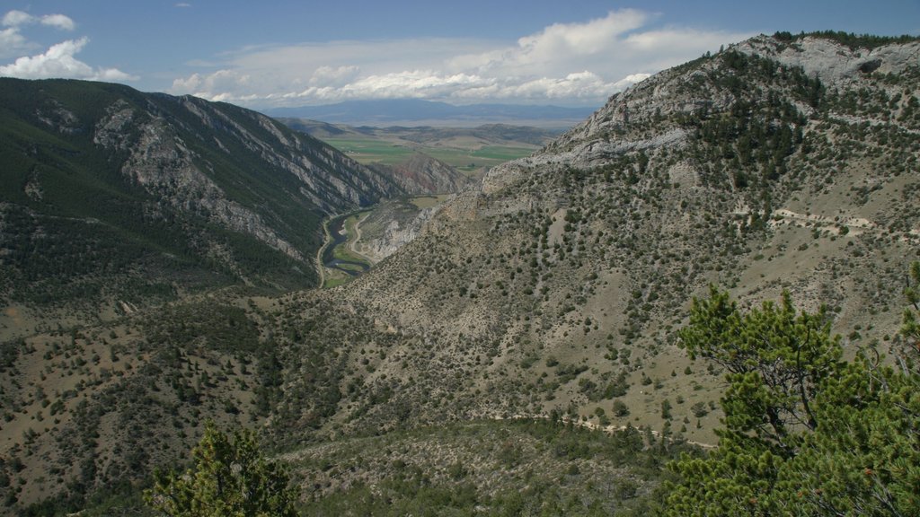 Butte showing mountains