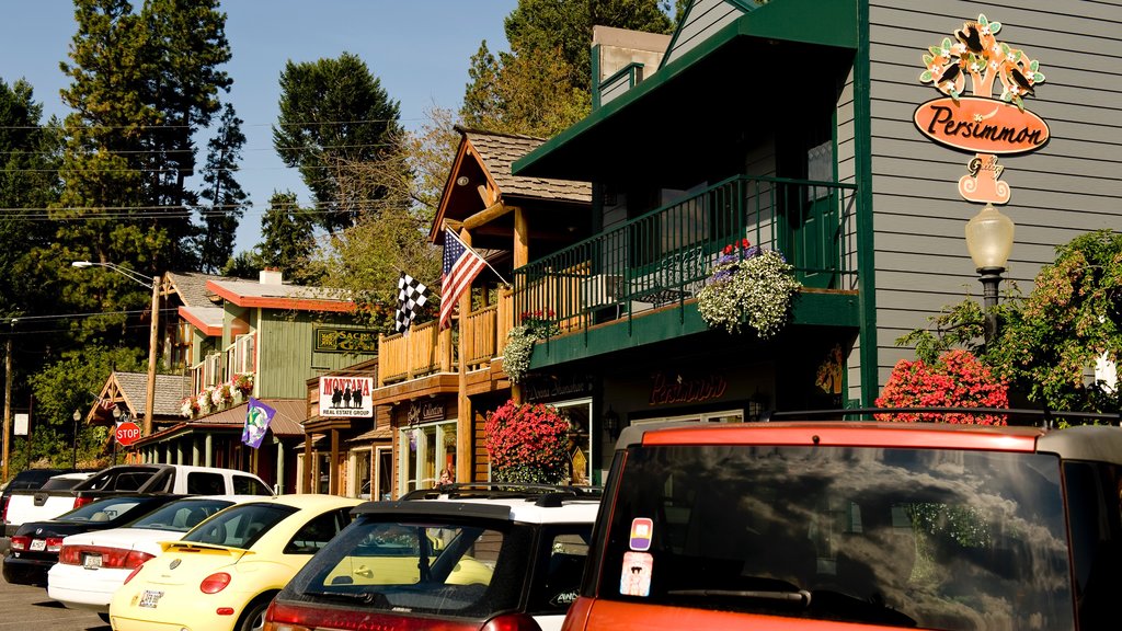 Bigfork showing street scenes and signage