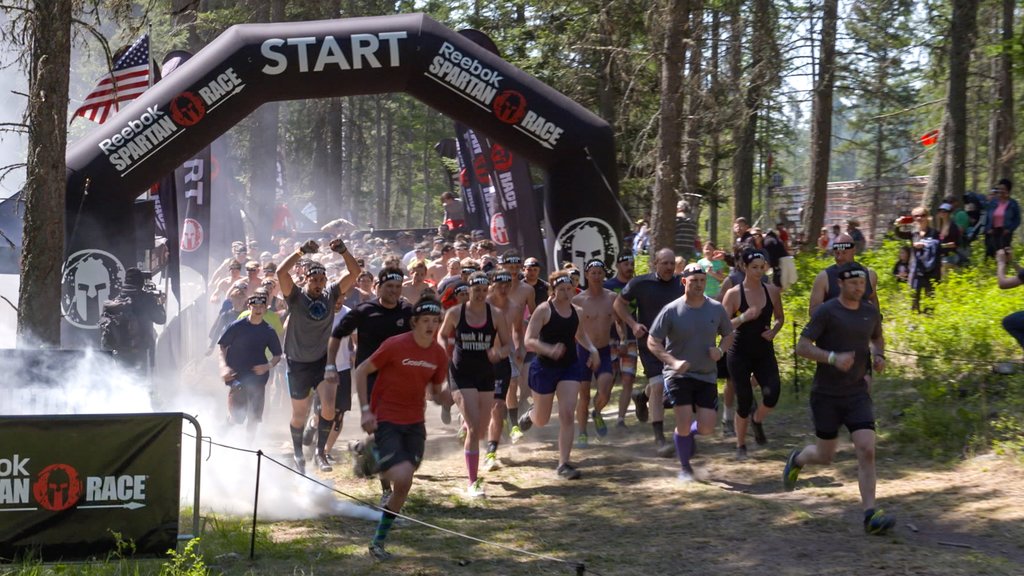 Bigfork que incluye un evento deportivo y también un gran grupo de personas