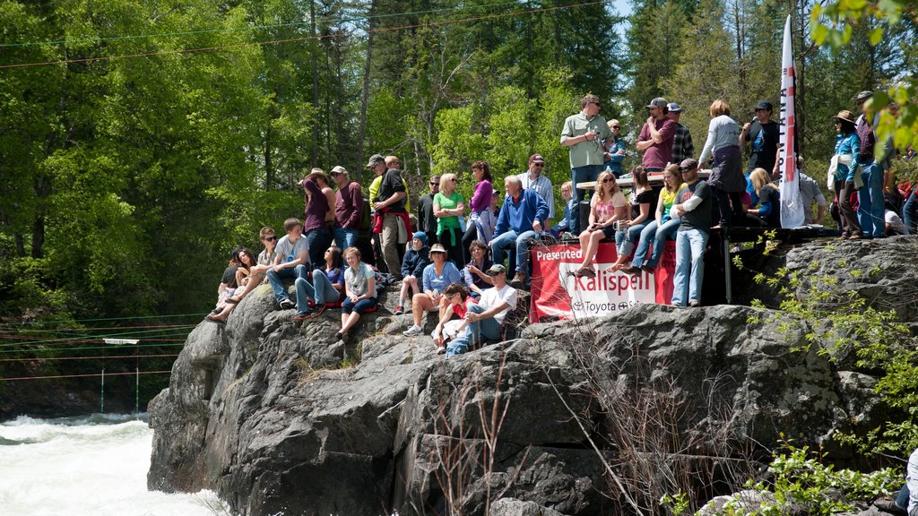 Bigfork which includes a park as well as a large group of people