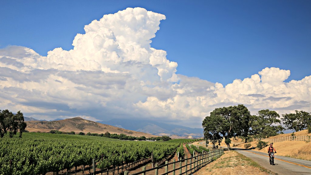 Santa Ynez Valley which includes tranquil scenes and farmland