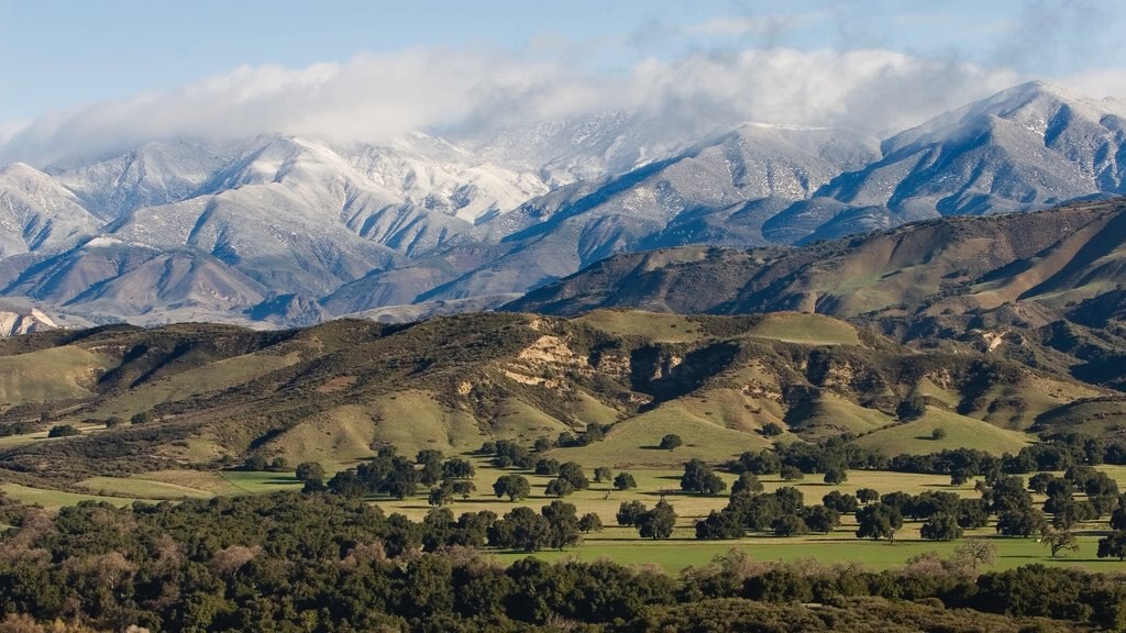 Santa Ynez Valley showing mountains and tranquil scenes