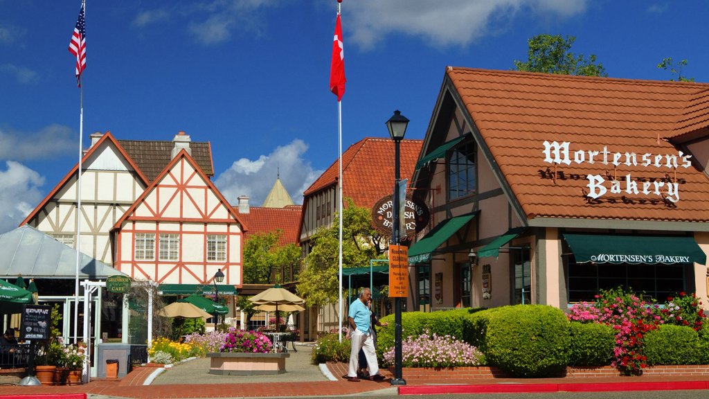 Santa Ynez Valley showing signage and a square or plaza as well as an individual male