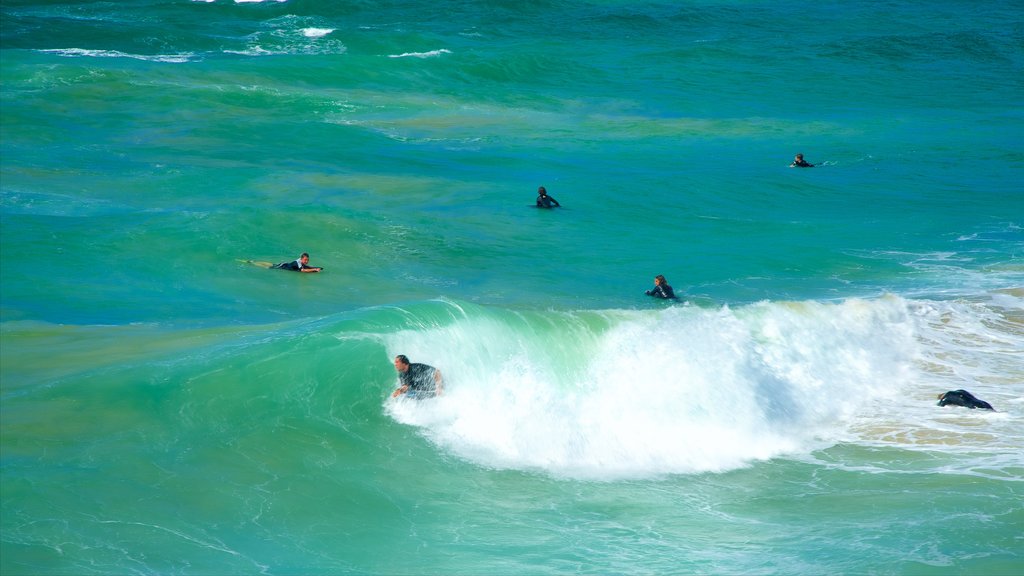 Port Macquarie que incluye una bahía o puerto y surf y también un pequeño grupo de personas