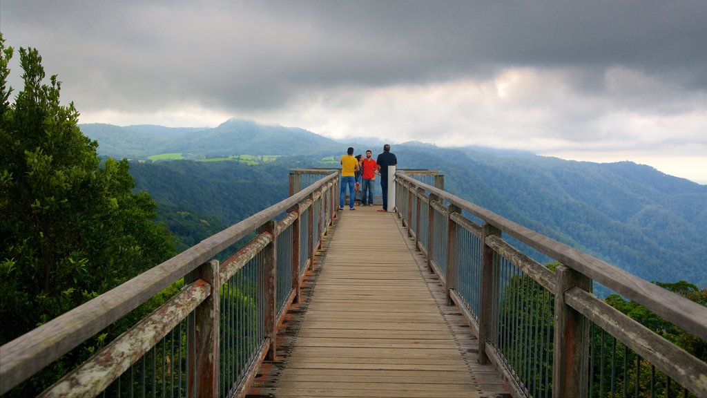 Parque Nacional Dorrigo ofreciendo vista, montañas y bosques