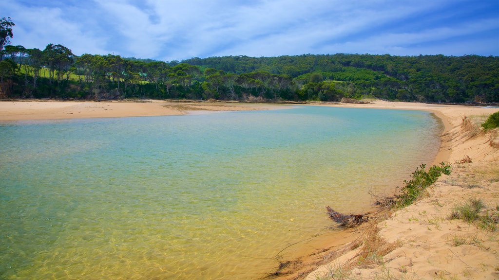 Aslings Beach which includes a lake or waterhole and general coastal views