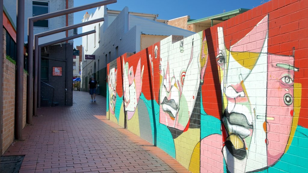 Wollongong featuring outdoor art