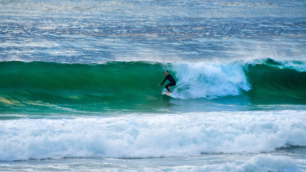 North Wollongong som omfatter surfing, bølger og udsigt over kystområde