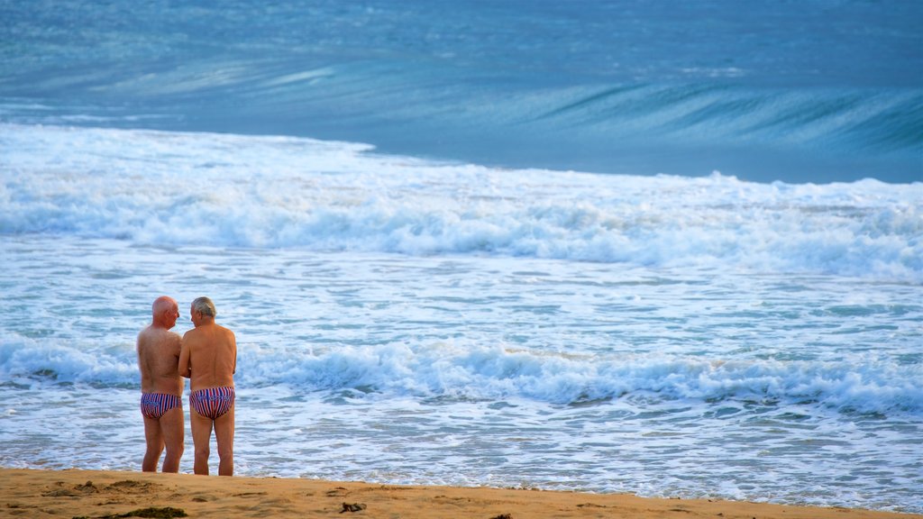 Wollongong Beach mostrando paisagens litorâneas e uma praia de areia assim como um pequeno grupo de pessoas