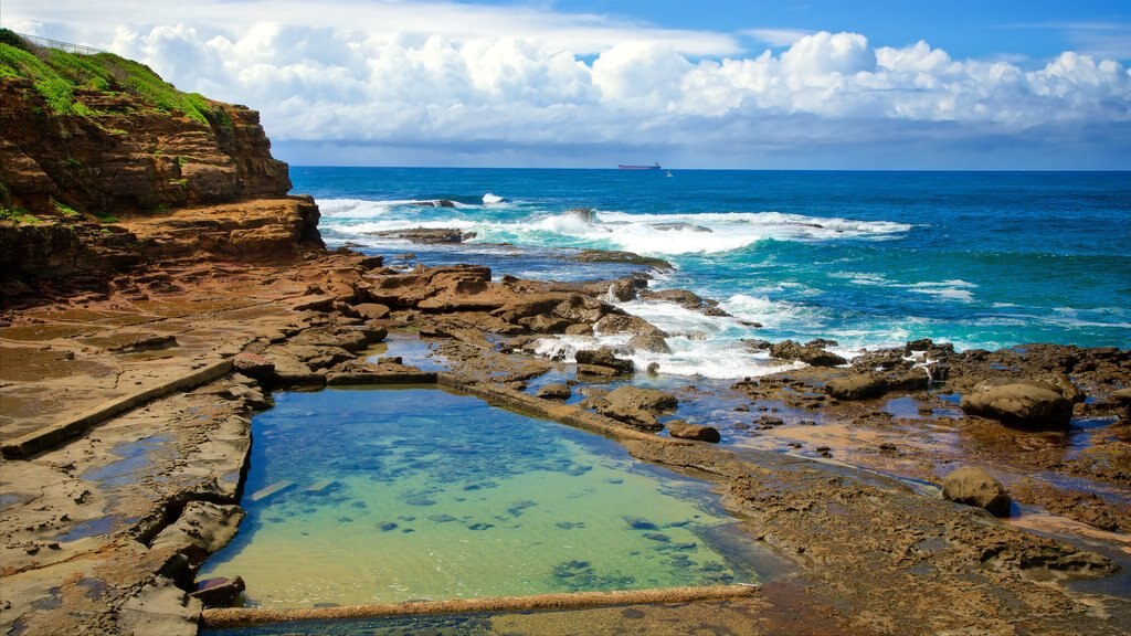 Illawarra ofreciendo vistas generales de la costa y costa escarpada