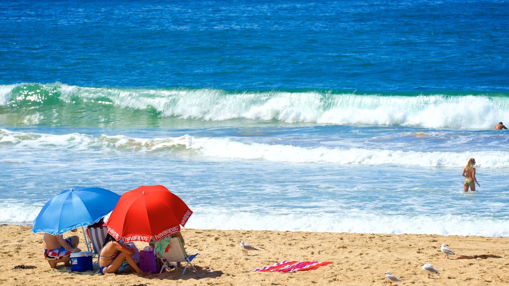 Wollongong North Beach mettant en vedette plage et surf aussi bien que famille