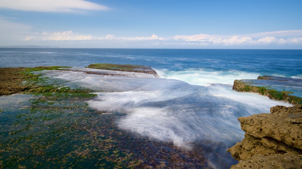 Booderee National Park showing rugged coastline and colourful reefs