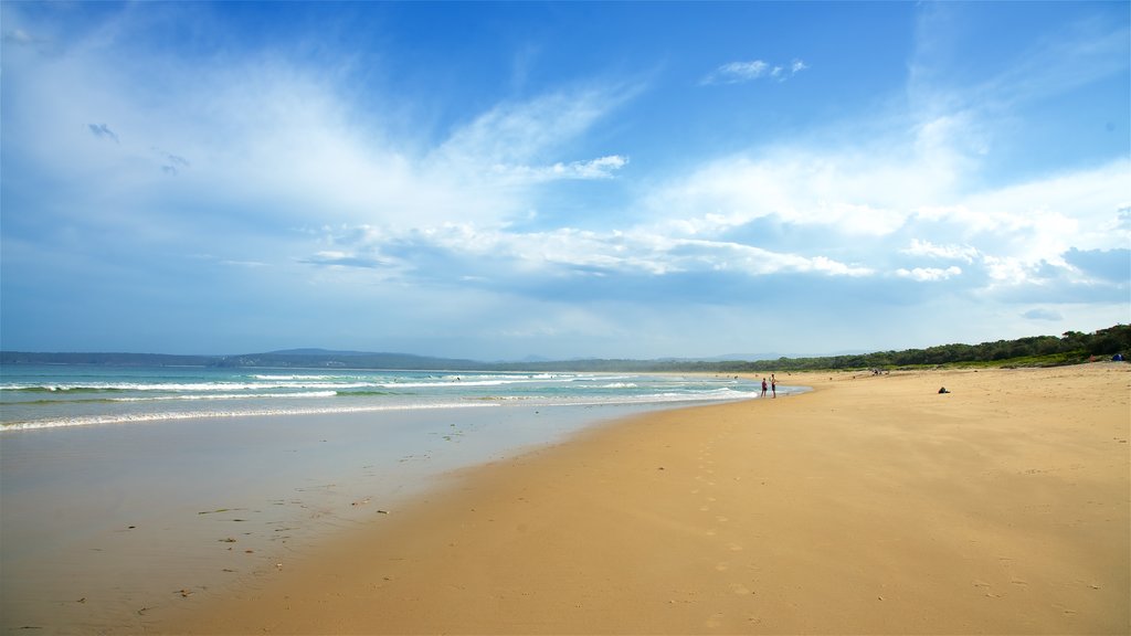 Main Beach Recreation Reserve que inclui paisagens litorâneas e uma praia