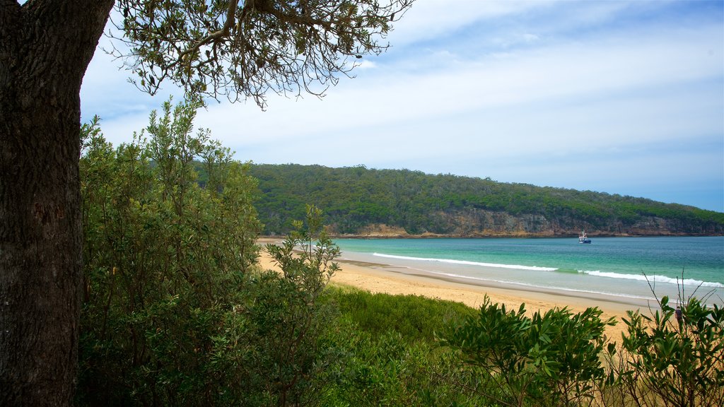 Aslings Beach which includes a beach and general coastal views