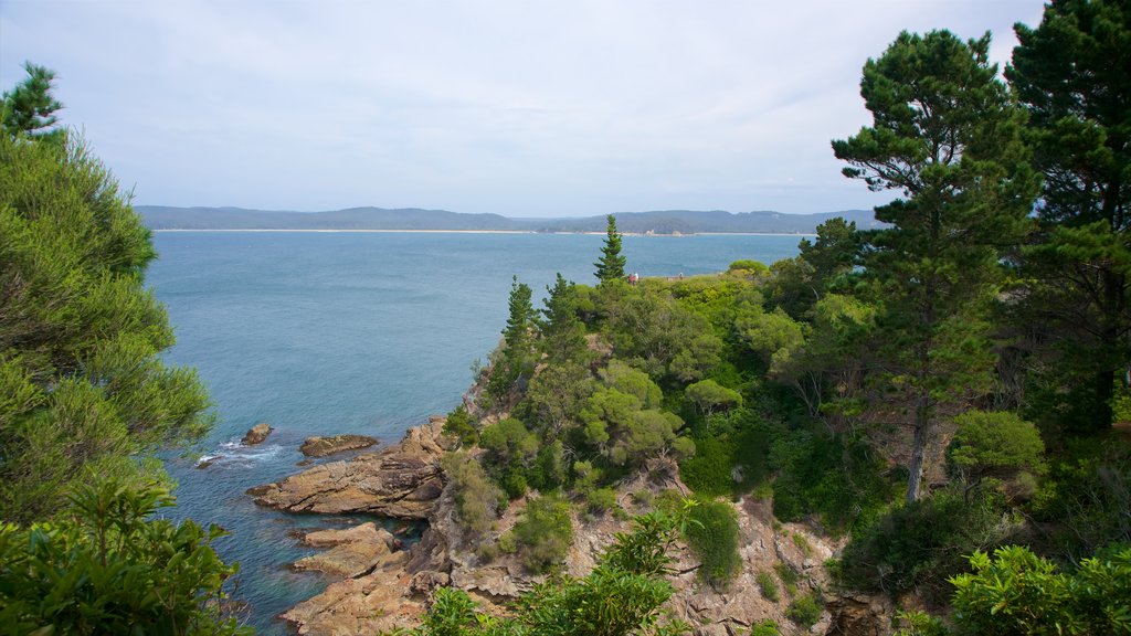 Sapphire Coast ofreciendo costa rocosa y vistas generales de la costa