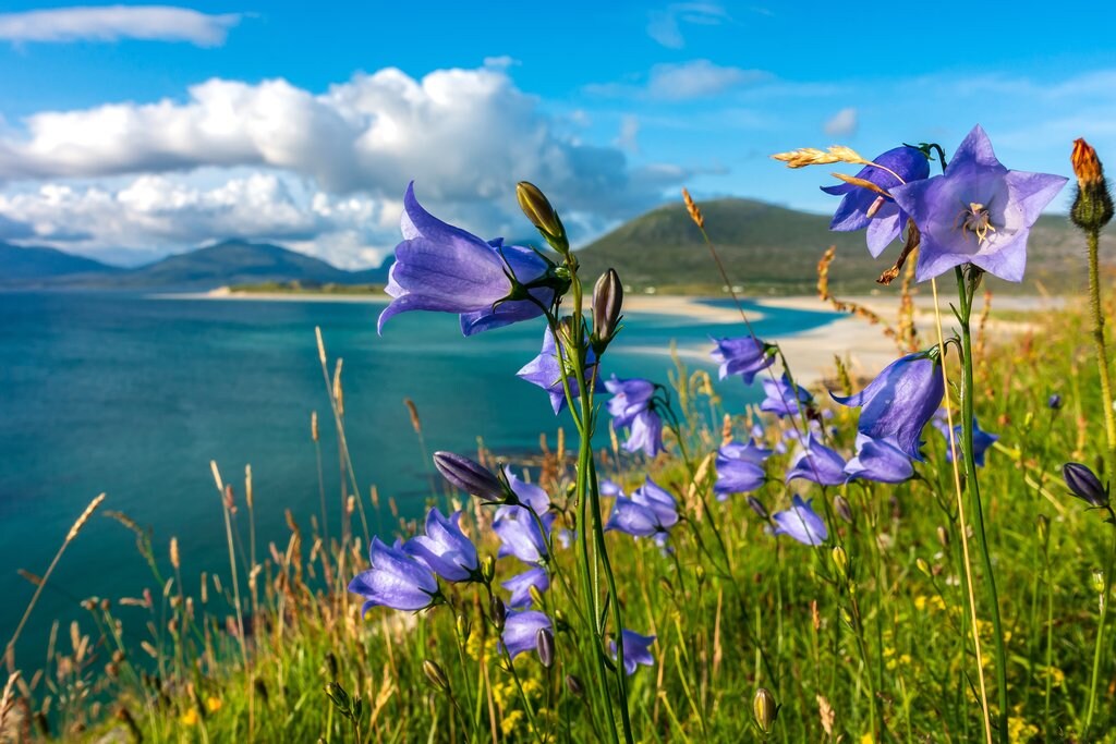 Isle-of-Harris.jpg?1583696912