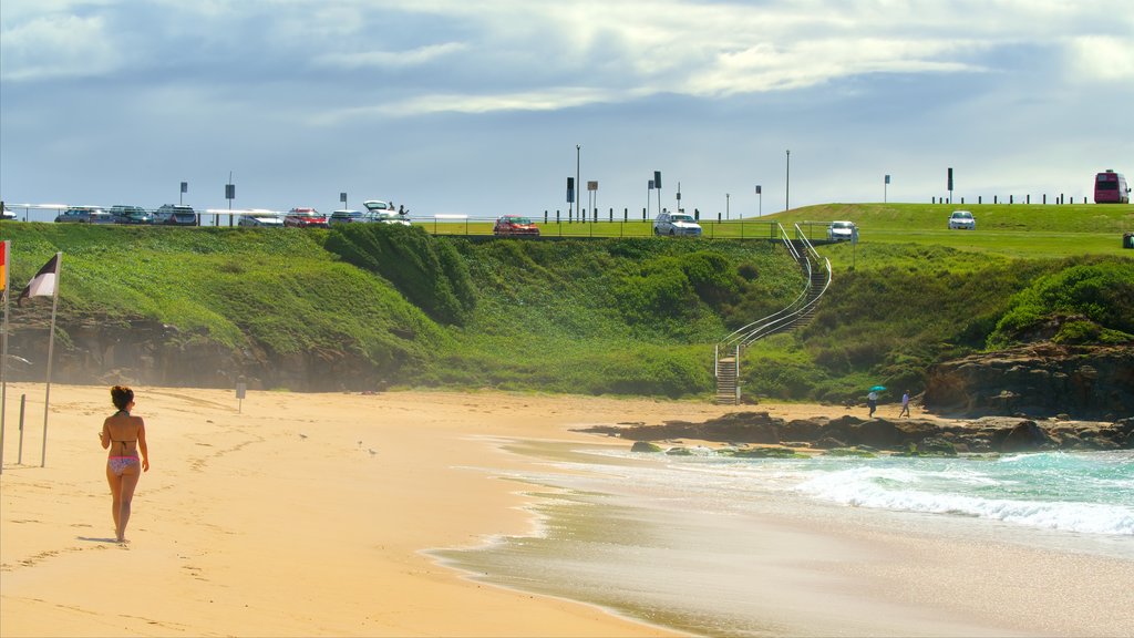 Wollongong Beach caracterizando uma praia e paisagens litorâneas assim como uma mulher sozinha