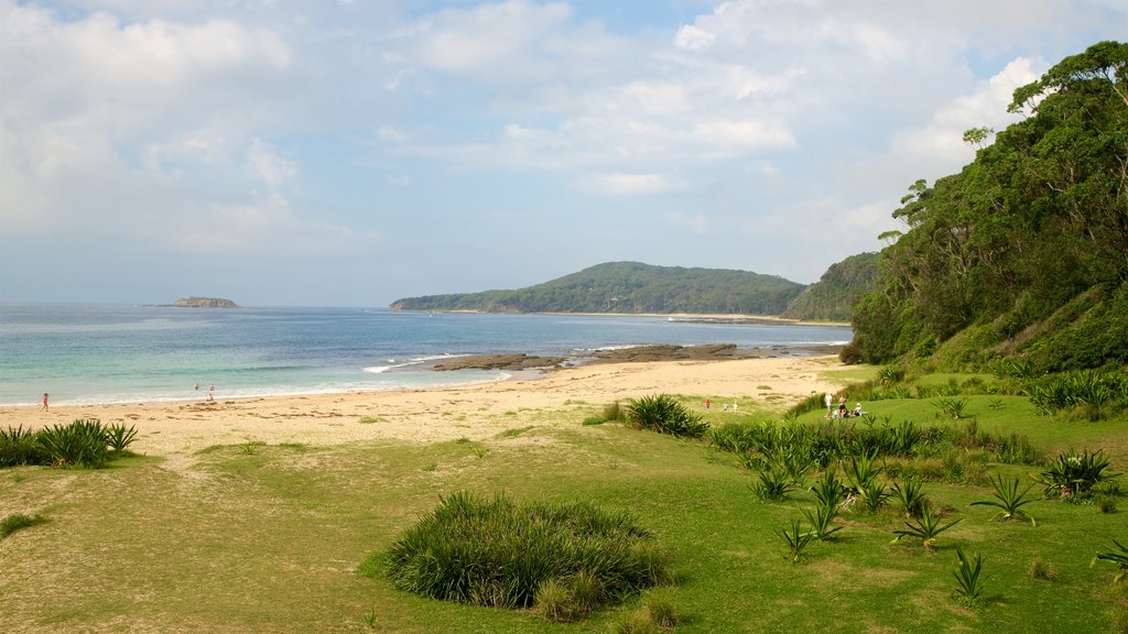 Pebbly Beach mostrando uma praia de areia e paisagens litorâneas