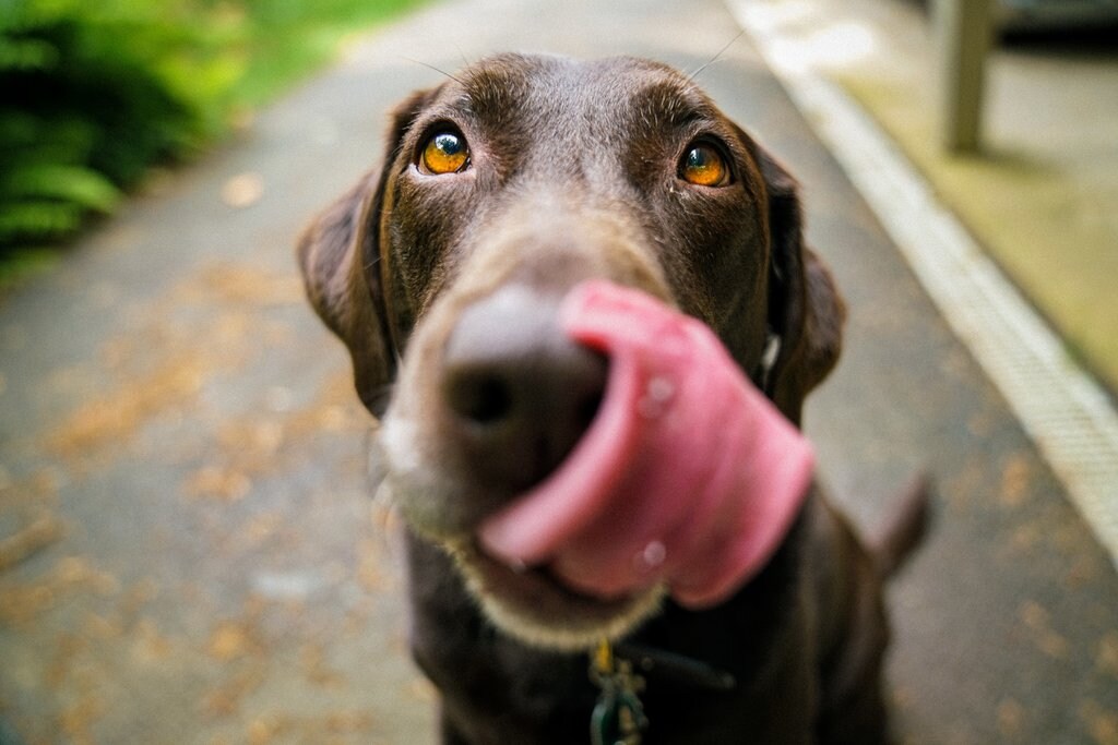 james-barker-v3-zcCWMjgM-unsplash.jpg?1584507362
