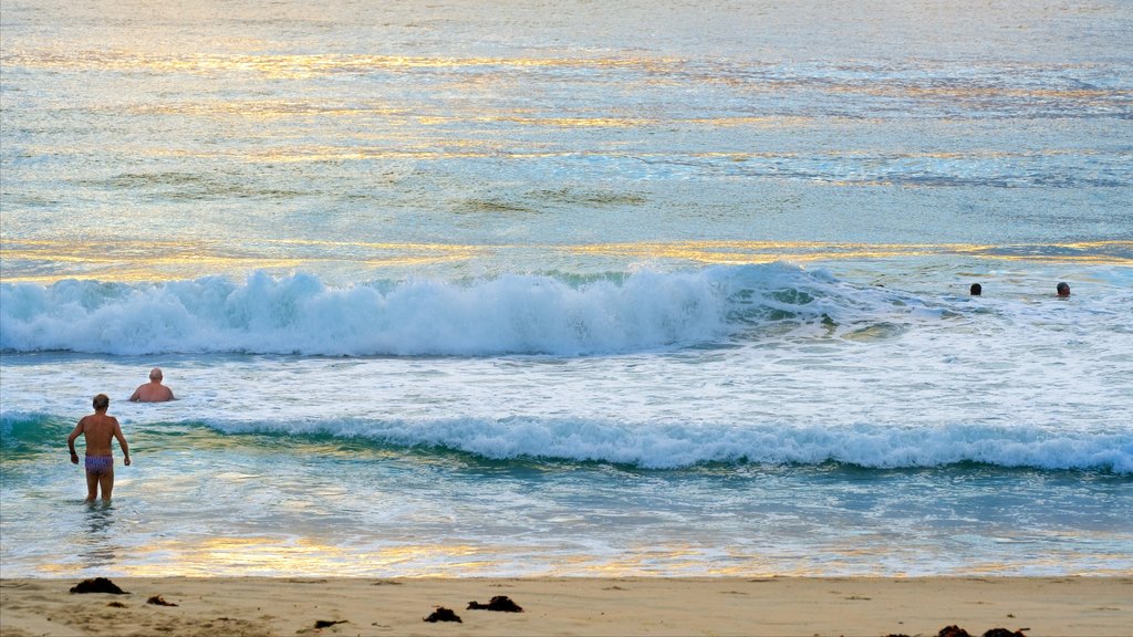 Wollongong North Beach mettant en vedette baignade, vues littorales et plage de sable